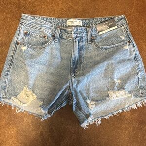 Abercrombie and Fitch The Baggy Short